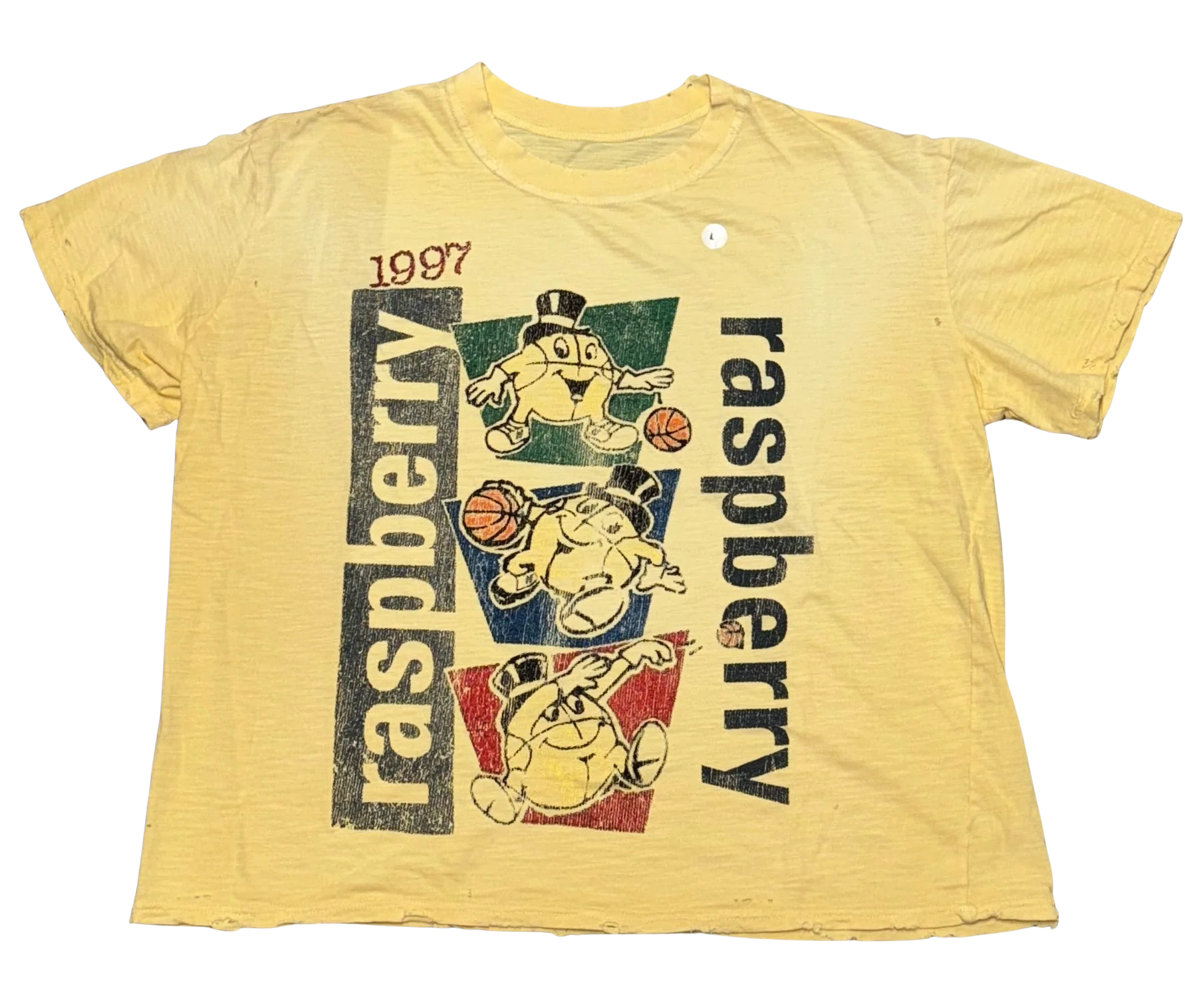 Gold+Vintage Gallery Raspberry Hills ‘Macker’ Tee
